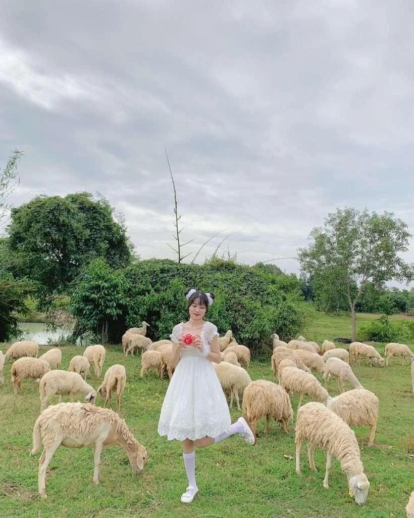 Đồng Cừu Suối Nghệ