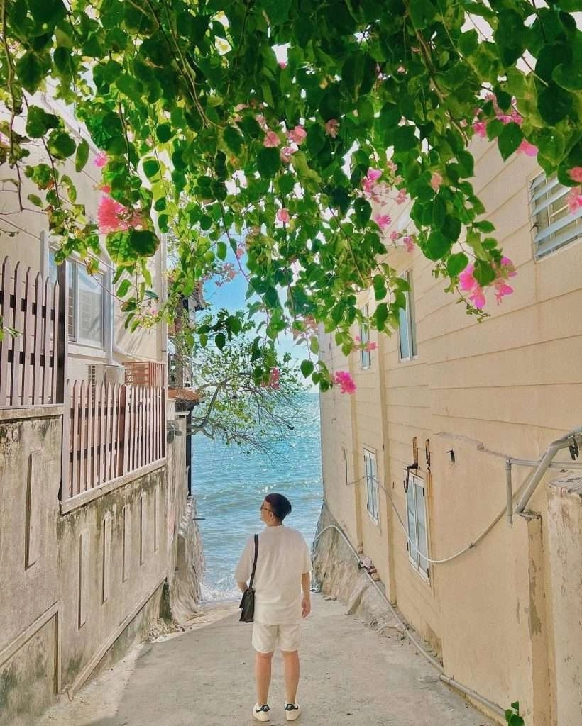 Hẻm Trần Phú Vũng Tàu